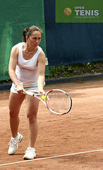 Semifinala pentru Szatmari